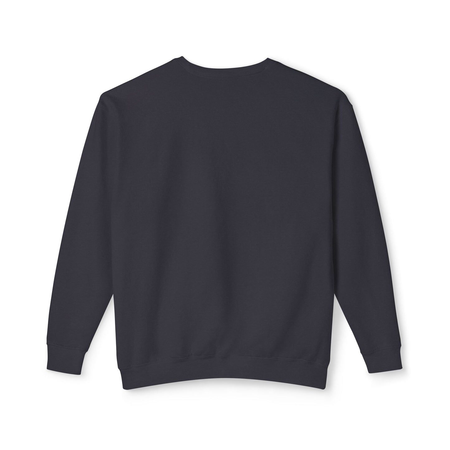 Defying Gravity comfort Colors sweatshirt