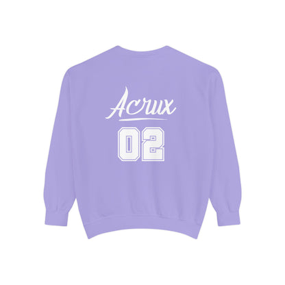 Zodiac Academy Pitbull Sweatshirt - Cozy Unisex Sweater for Astrology Lovers, Birthday Gift, Casual Outfit, Everyday Wear