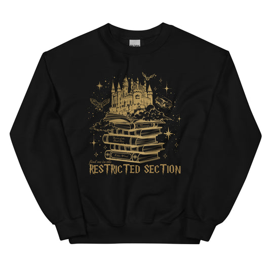 Restricted Section Sweatshirt / Spooky season shirt/ Harry Potter Inspired