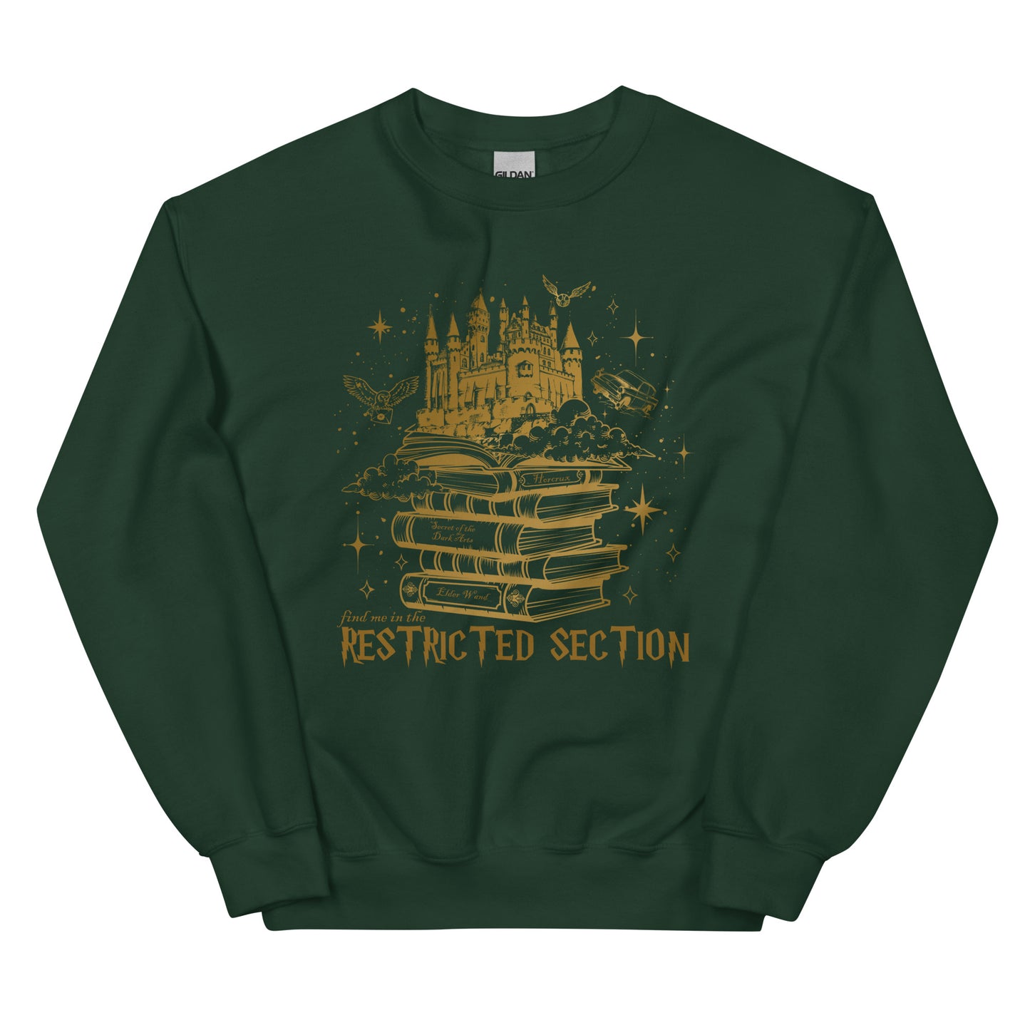 Restricted Section Sweatshirt / Spooky season shirt/ Harry Potter Inspired